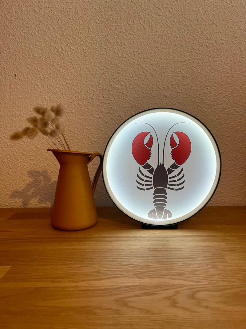Lampes LED Ronde Homard 24cm – Image 2